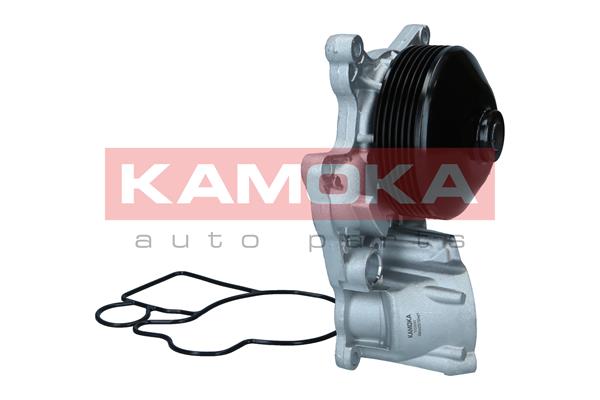 Pompa acqua - T0300 KAMOKA