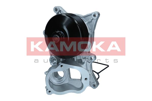 Pompa acqua - T0300 KAMOKA