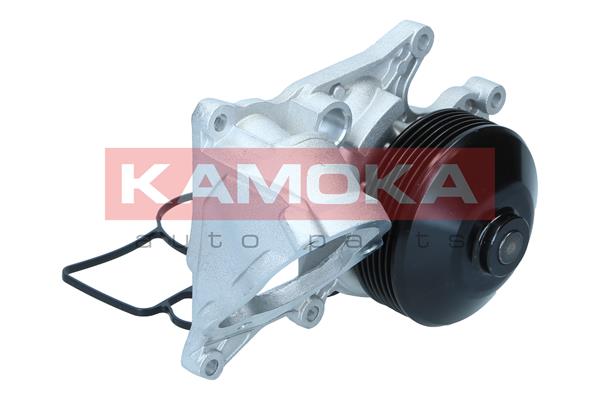 Pompa acqua - T0301 KAMOKA