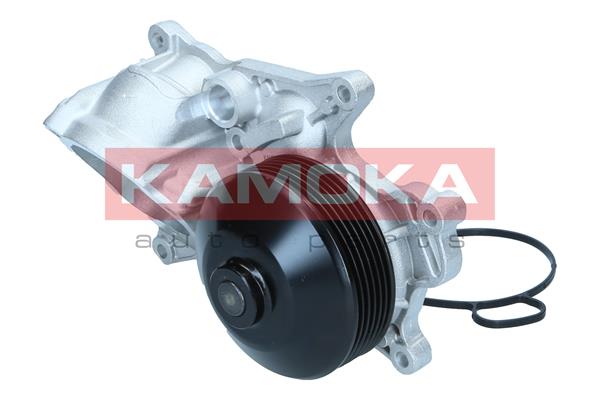 Pompa acqua - T0301 KAMOKA