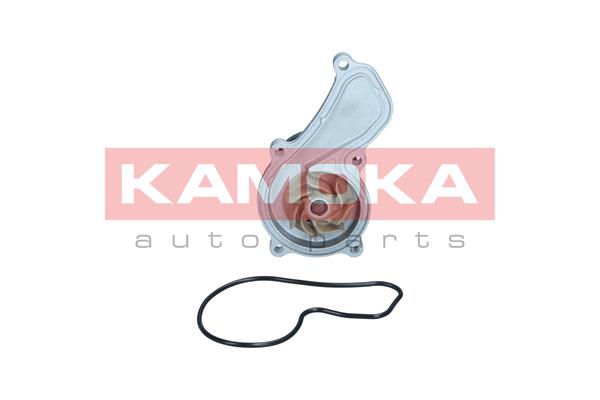 Pompa acqua - T0305 KAMOKA