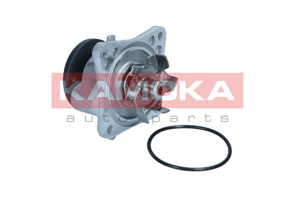 Water Pump - T0309 KAMOKA