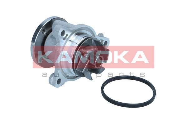 Water Pump - T0310 KAMOKA