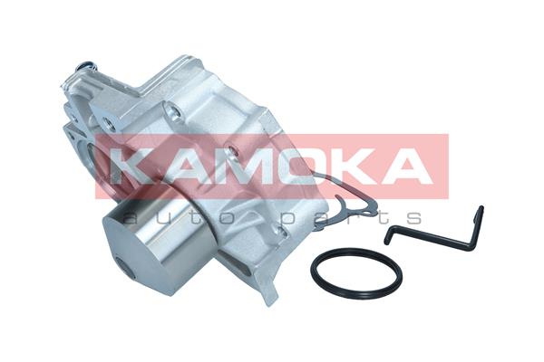 Pompa acqua - T0313 KAMOKA