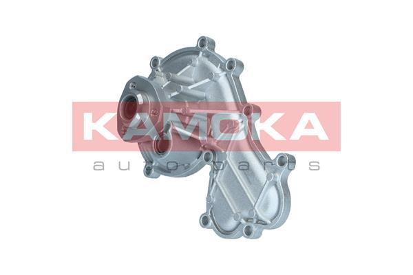 Water Pump - T0317 KAMOKA