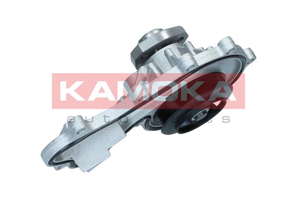 Water Pump - T0317 KAMOKA