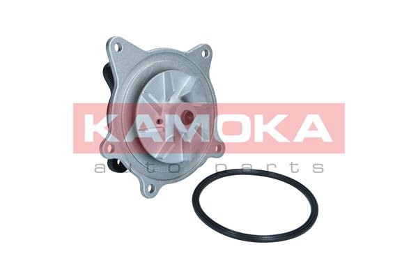 Pompa acqua - T0318 KAMOKA