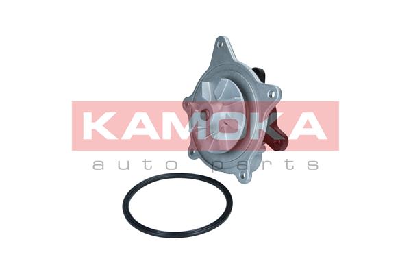 Water Pump - T0318 KAMOKA