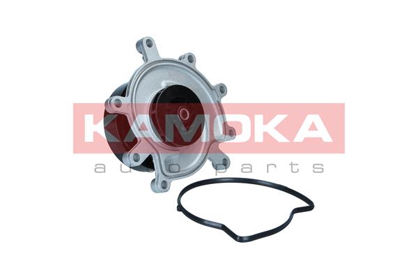 Pompa acqua - T0319 KAMOKA