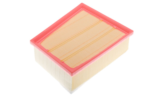 Filtro aria - A142125 DENCKERMANN