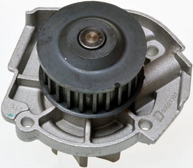 Water Pump - A310923P DENCKERMANN