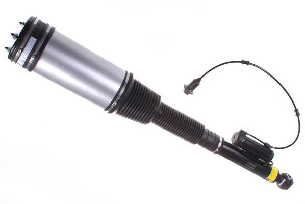 Gamba elastica con ammortiz. pneumatico - DSA004G DENCKERMANN