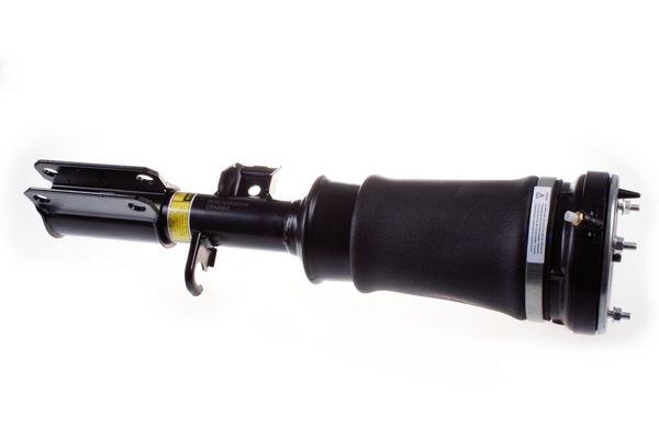 Air Spring Strut - DSA008G DENCKERMANN