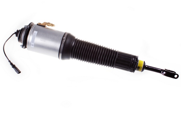 Air Spring Strut - DSA010G DENCKERMANN
