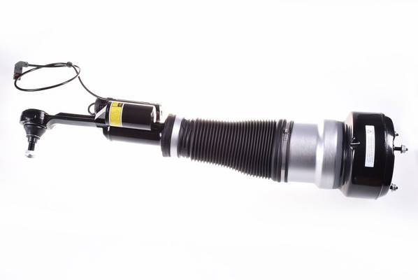 Air Spring Strut - DSA021G DENCKERMANN