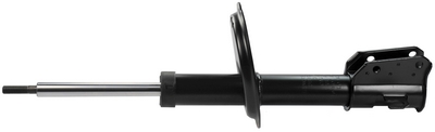 Ammortizzatore - DSB012G DENCKERMANN