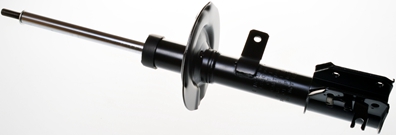 Shock Absorber - DSB030G DENCKERMANN