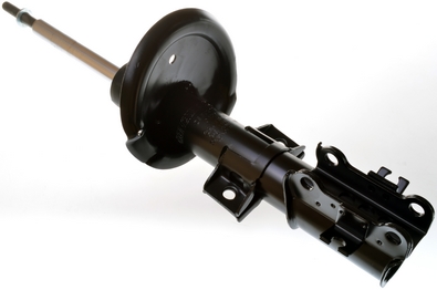 Shock Absorber - DSB031G DENCKERMANN