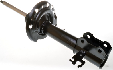 Shock Absorber - DSB050G DENCKERMANN