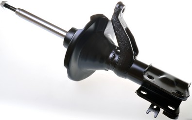 Shock Absorber - DSB104G DENCKERMANN