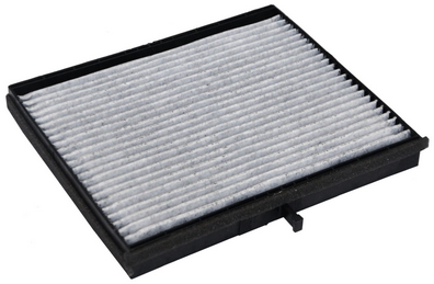 filtras, salono oras - M110593K DENCKERMANN
