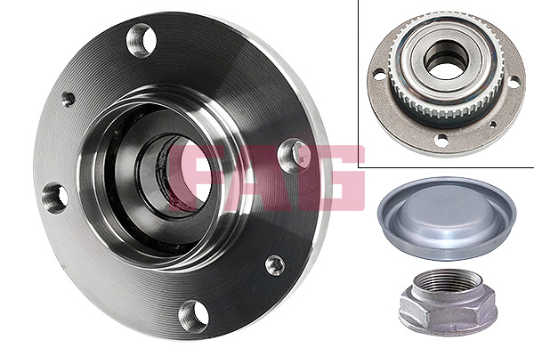 Wheel Bearing Kit - 713 6505 20 Schaeffler FAG