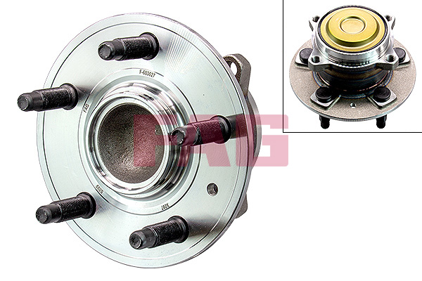 Wheel Bearing Kit - 713 6980 50 Schaeffler FAG