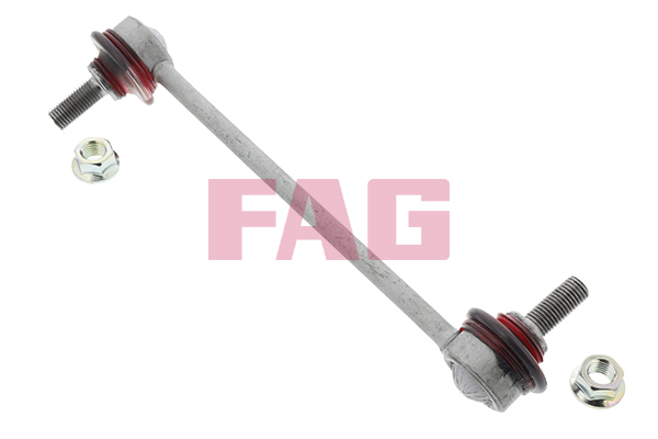 šarnyro stabilizatorius - 818 0030 10 Schaeffler FAG