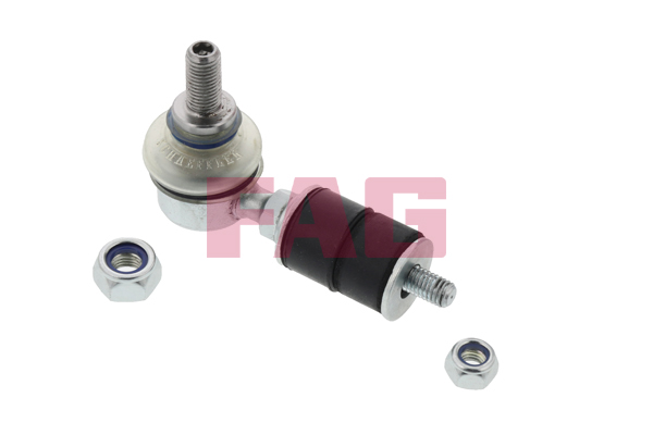 šarnyro stabilizatorius - 818 0062 10 Schaeffler FAG