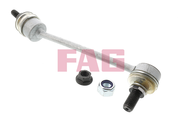 Rod/Strut, stabiliser - 818 0079 10 Schaeffler FAG