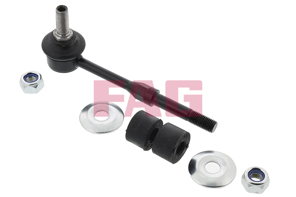 Asta/Puntone, Stabilizzatore - 818 0110 10 Schaeffler FAG