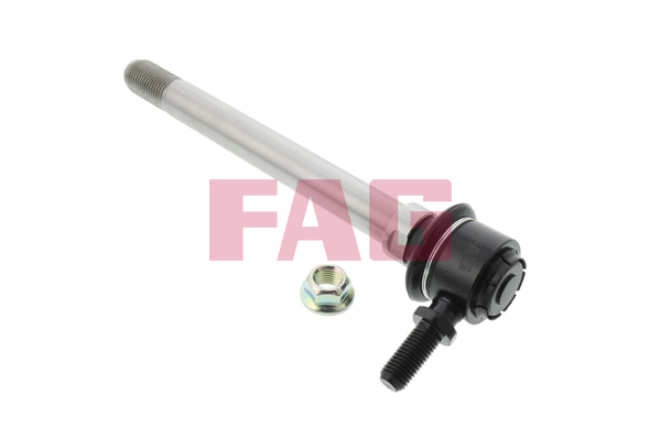 šarnyro stabilizatorius - 818 0125 10 Schaeffler FAG