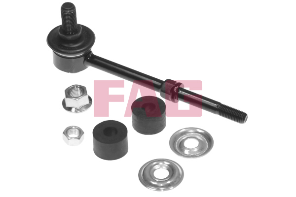 Rod/Strut, stabiliser - 818 0134 10 Schaeffler FAG