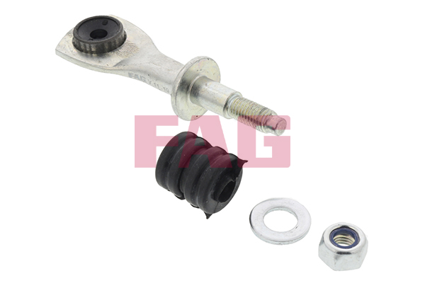 Asta/Puntone, Stabilizzatore - 818 0137 10 Schaeffler FAG