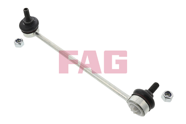 Asta/Puntone, Stabilizzatore - 818 0169 10 Schaeffler FAG