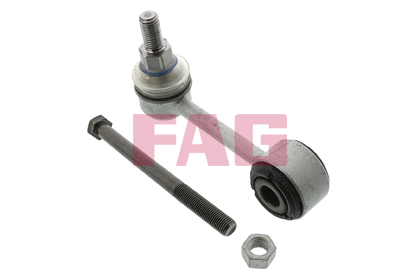 Rod/Strut, stabiliser - 818 0196 10 Schaeffler FAG