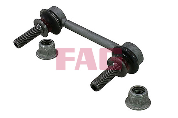 Rod/Strut, stabiliser - 818 0576 10 Schaeffler FAG