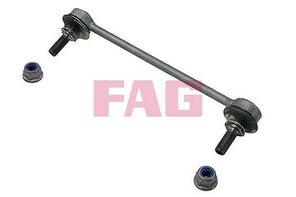 šarnyro stabilizatorius - 818 0604 10 Schaeffler FAG