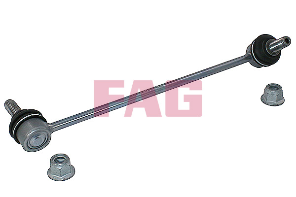 šarnyro stabilizatorius - 818 0667 10 Schaeffler FAG