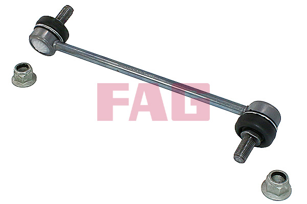 šarnyro stabilizatorius - 818 0676 10 Schaeffler FAG