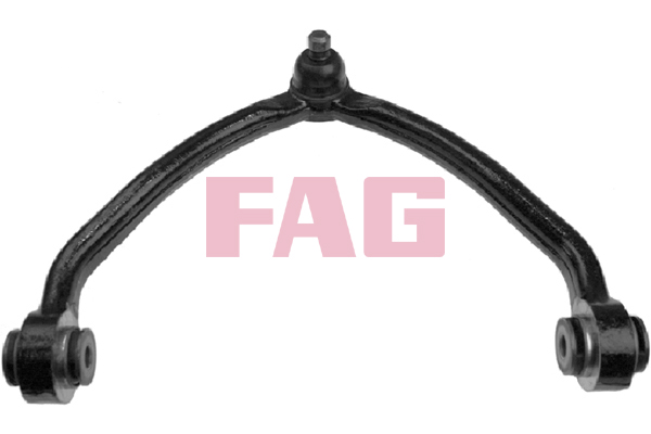 Track Control Arm - 821 0124 10 Schaeffler FAG