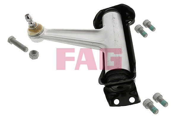 Track Control Arm - 821 0202 10 Schaeffler FAG