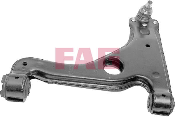 Track Control Arm - 821 0283 10 Schaeffler FAG