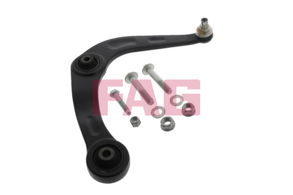 Track Control Arm - 821 0417 10 Schaeffler FAG