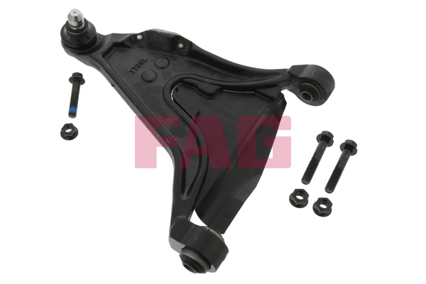 Track Control Arm - 821 0448 10 Schaeffler FAG