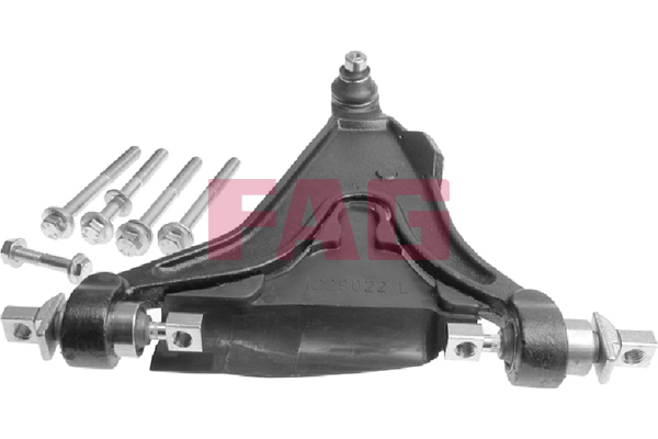 Track Control Arm - 821 0450 10 Schaeffler FAG
