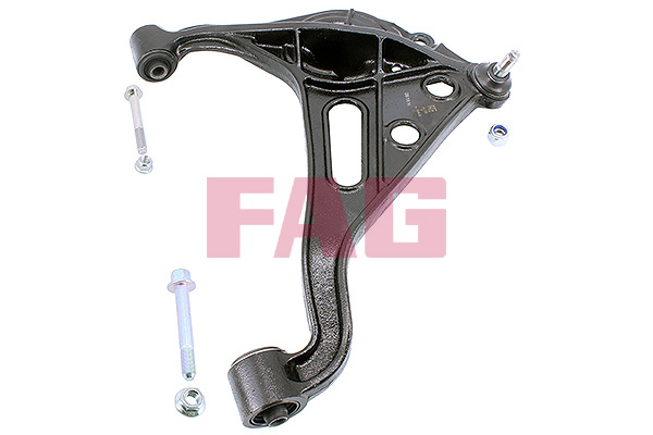 Track Control Arm - 821 0646 10 Schaeffler FAG