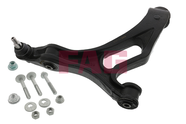 Track Control Arm - 821 0668 10 Schaeffler FAG