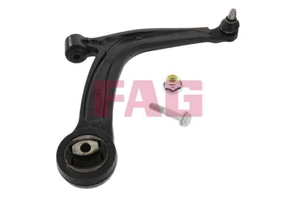 Track Control Arm - 821 0869 10 Schaeffler FAG