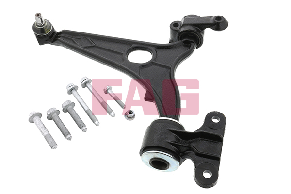 Track Control Arm - 821 0954 10 Schaeffler FAG